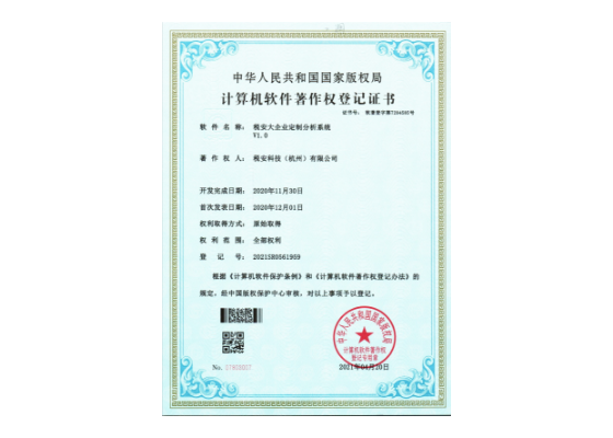 <span>税安大企业定制分析系统</span>